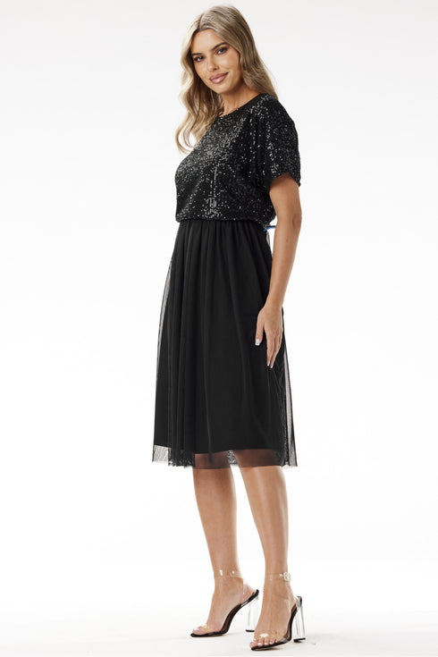 Evening dress model 204289
